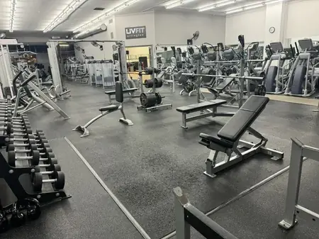 Free Weights